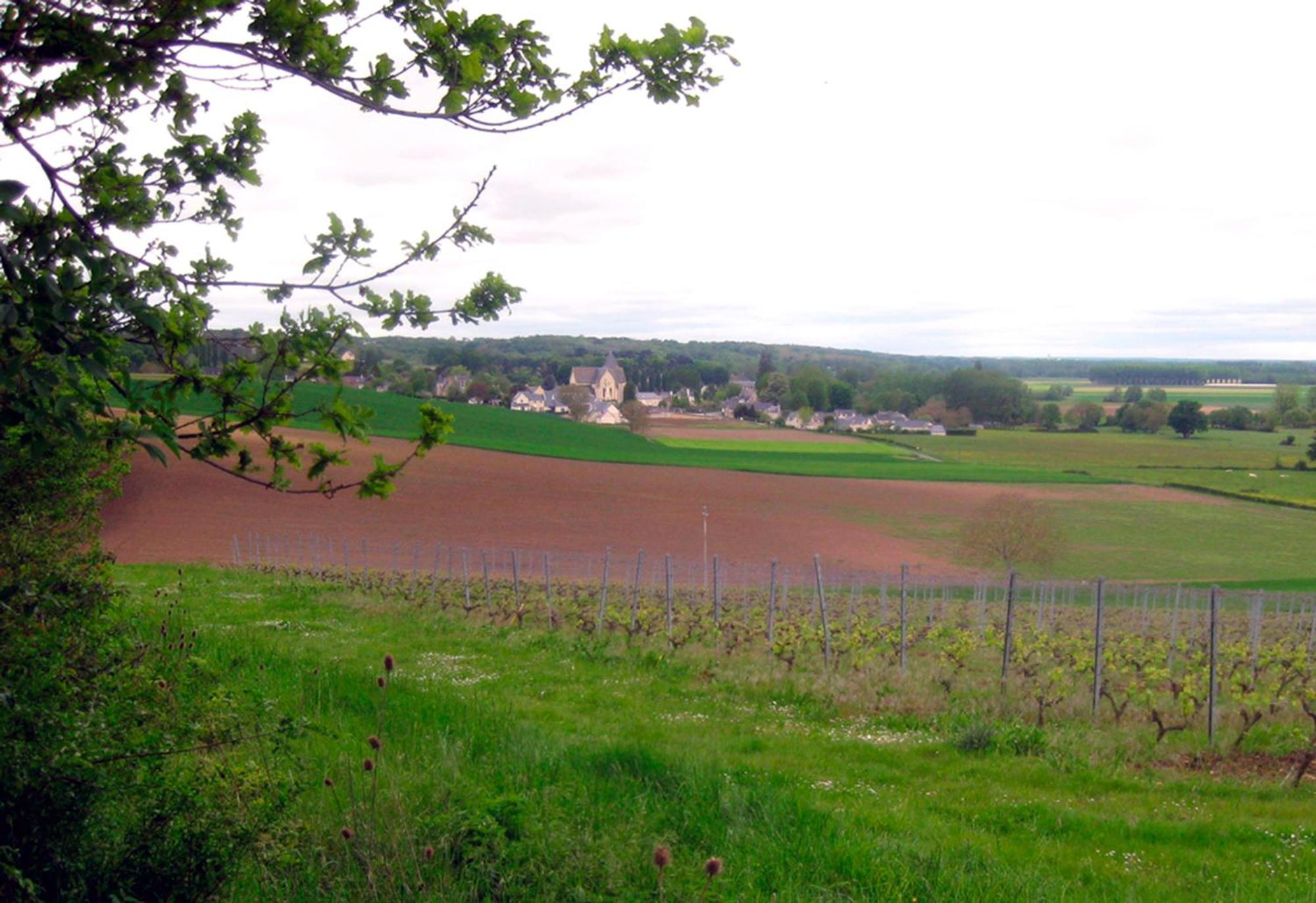 La Butte De Gohier Bed and Breakfast Blaison Exteriör bild
