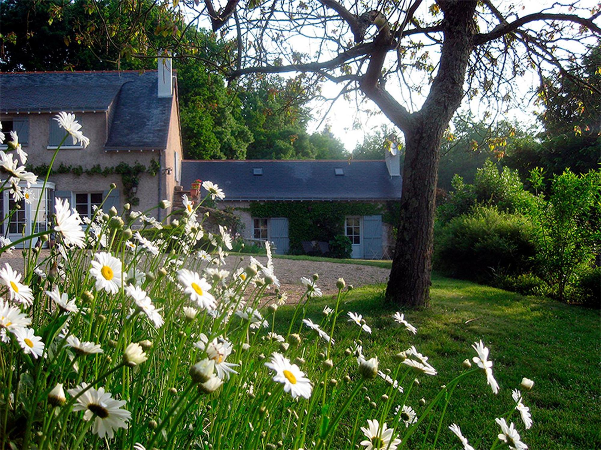 La Butte De Gohier Bed and Breakfast Blaison Exteriör bild