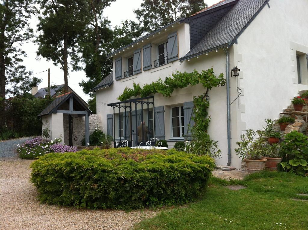 La Butte De Gohier Bed and Breakfast Blaison Exteriör bild