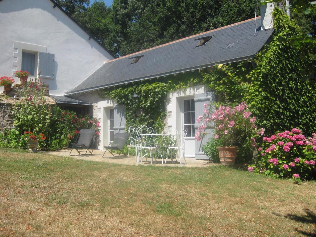 La Butte De Gohier Bed and Breakfast Blaison Exteriör bild